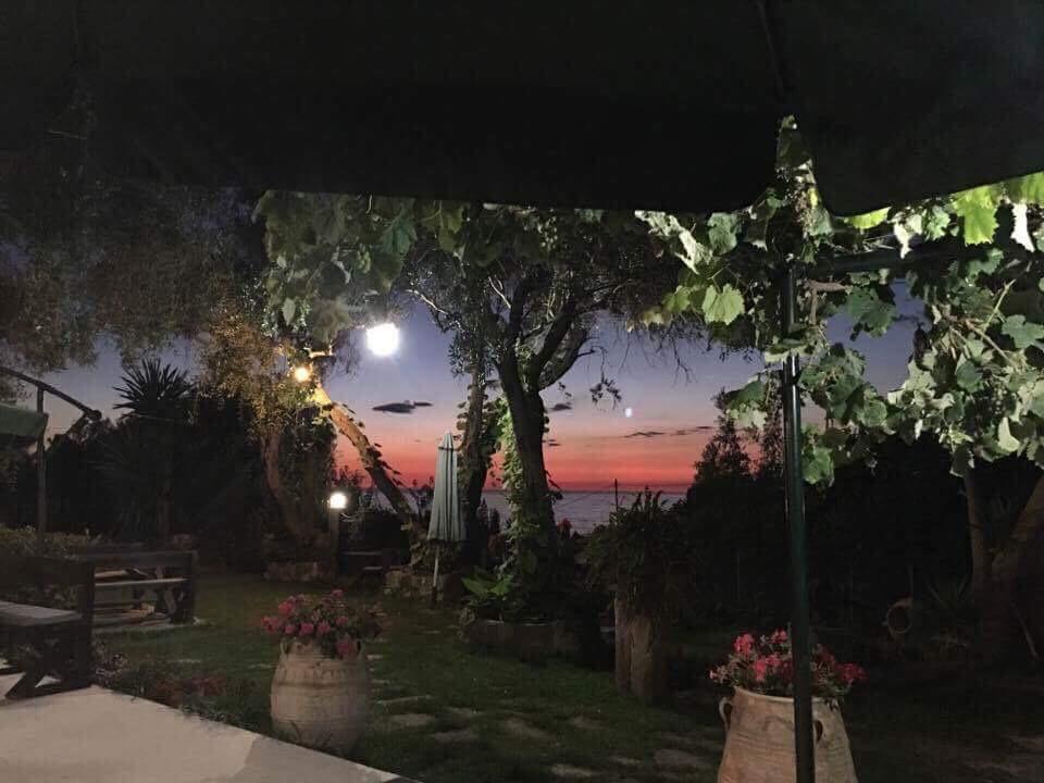 Skala *
